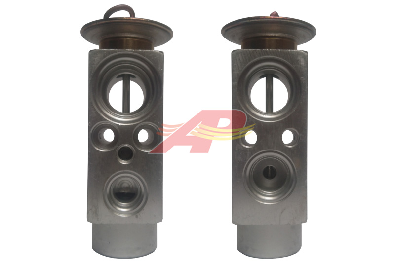 Expansionsventil 323303S, D45080118, 0013040060, 6005016329 | 0018310226-03