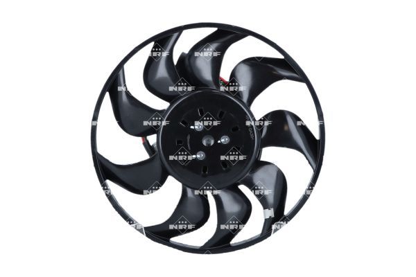 0190bbee6098732d8f86c8cd3c2177d0 – Foto