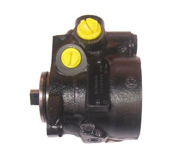 Austausch Hydraulikpumpe, 0001210328-02 | Fiat Ducato, 4817645