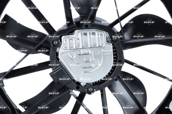 0190bc12bddd702f88c6ab155b3439b3 – Foto