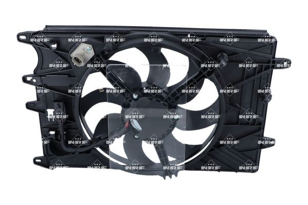 0190bbd79c4b70e3b975cf4559869bfb – Foto