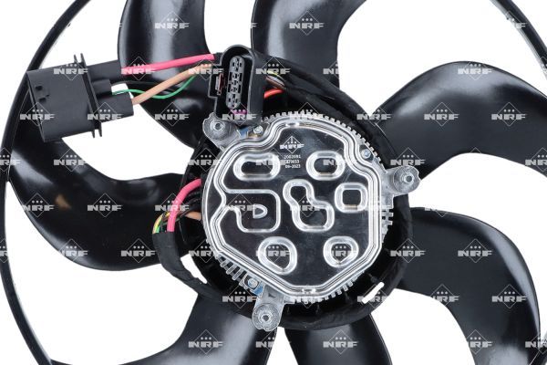 0190bbe6b157728db274dc866b096867 – Foto