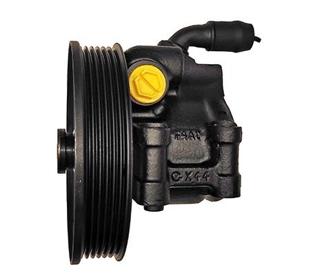 Austausch Hydraulikpumpe, 0001210091-02 | Jaguar, XR814952, XR82860, XW4C3A696HB