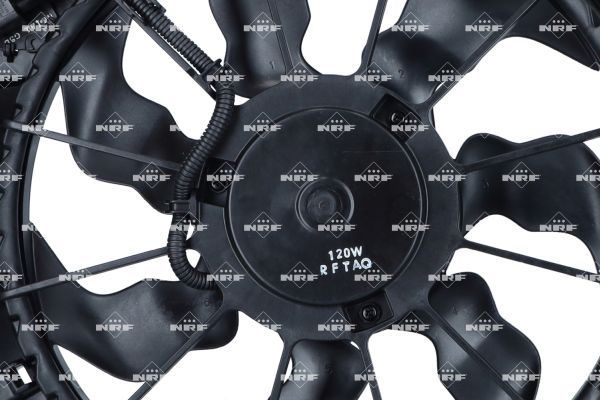 0190bd0bb2d8701fa3aa5505bbf7176a – Foto