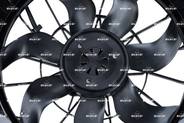 0190bd076aa572fcb76cfce3ca5166b7 – Foto