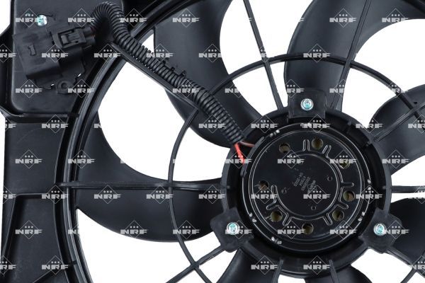 0190bcd7c89f735d910cdfca2bfcd9ca – Foto