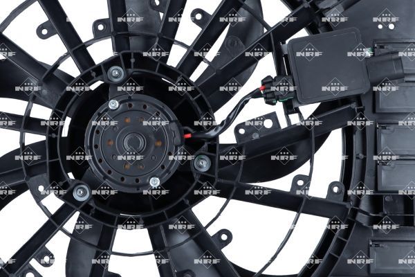 0190bbe11c46706abdf424727f573c58 – Foto