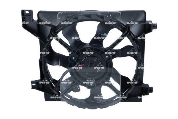 0190bc418a1470a78b9e925f3e45b2bb – Foto