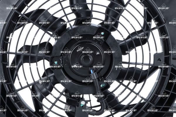 0190bc50244272719a81b98f1a909fc4 – Foto