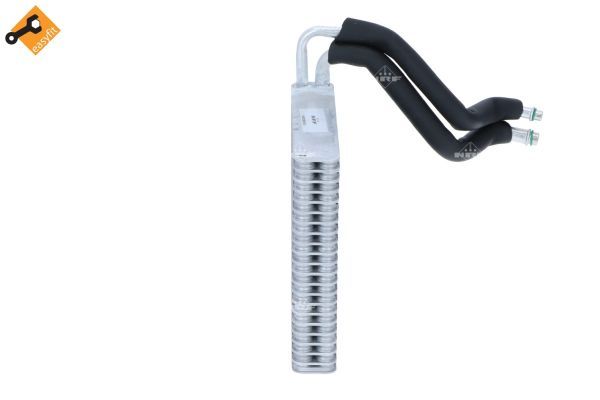 0190ba8c42bb7245a5560f596cfde8ee – Foto