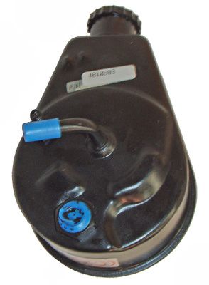 Austausch Hydraulikpumpe, 0001210298-02 | Ford, 481068B, 6088150, 6135961