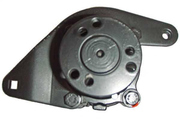 Austausch Hydraulikpumpe, 0001210280-02 | Audi, 034145159H, 034145159L