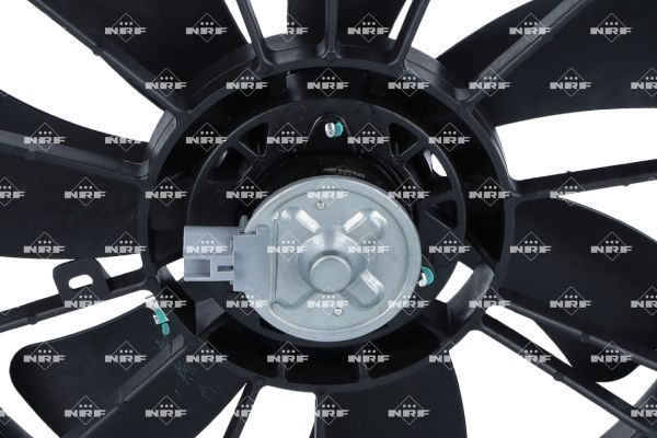 0190bc3ea2d4728da55d8f427b602075 – Foto