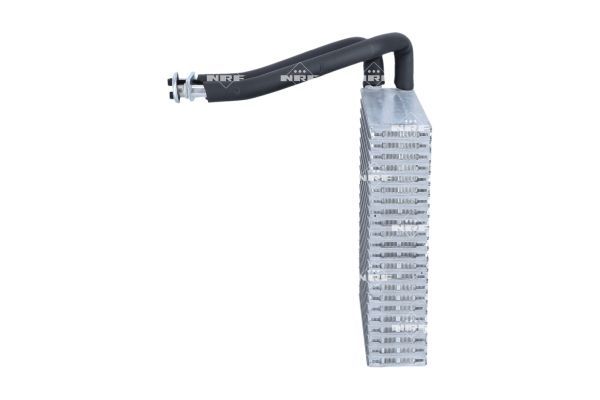 0190baba9c2673818e9d41a527e9bff5 – Foto