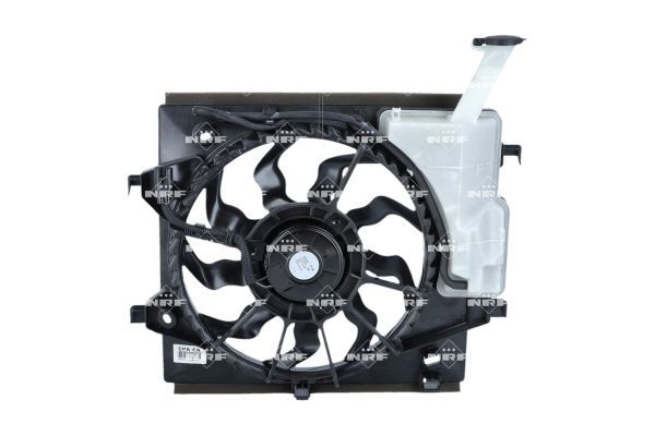 0190bcfc1ed67071aea243bfa03eb7de – Foto