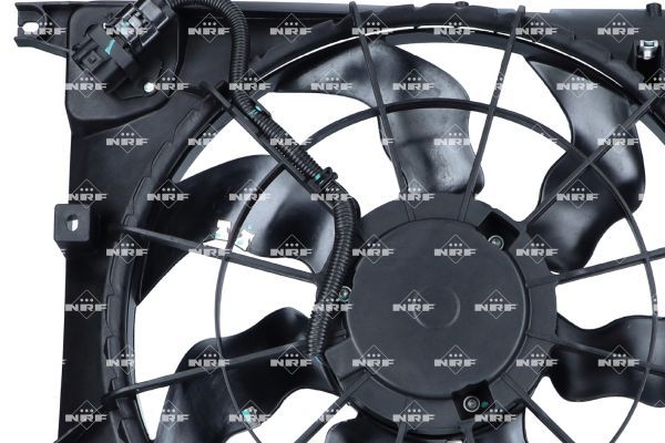 0190bc3d1b52708a97d42d718c9a186a – Foto