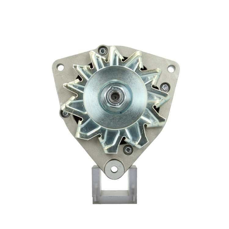 215.025.055.311 – Foto