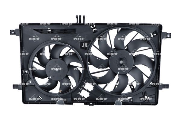 0190bcfd98a47204a164a555d9e585bc – Foto