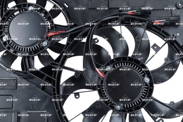 0190bbe25ce5738693d9f676158d7c33 – Foto