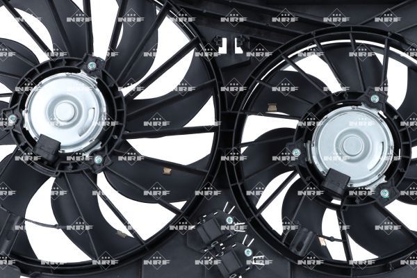 0190bbd2427d71058467746a3c75b096 – Foto