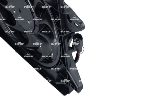 0190bbda7a267069b893439bf518da63 – Foto