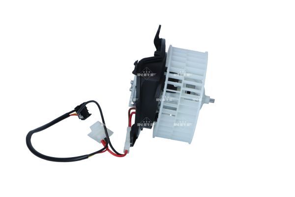 019175ae48aa703bb0d6b6cb6c036d96 – Foto