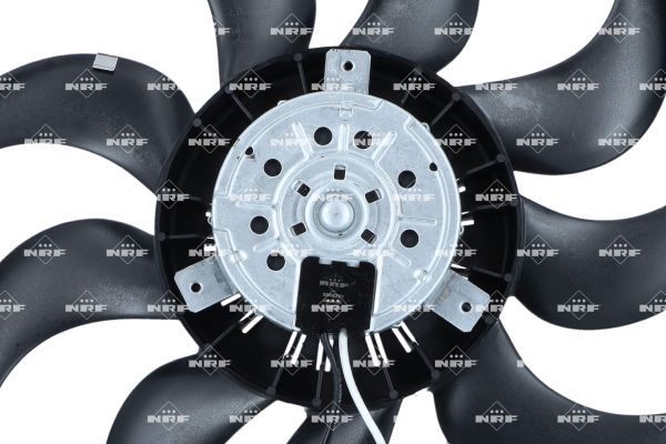 0190bc293598734dbfaf56809c9a390f – Foto