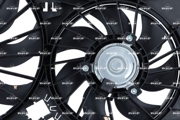 0190bcfd98a47204a164a555d9e585bc – Foto