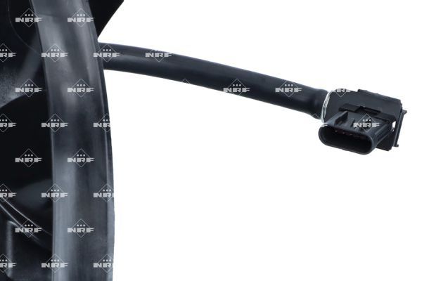 0190bcc8ca677004b33e11538bd78335 – Foto