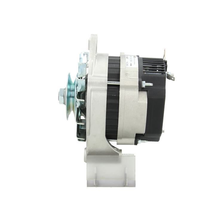 305.005.055.311 – Foto