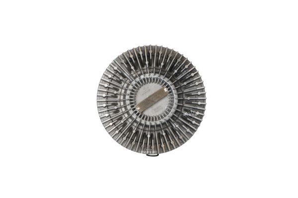 01916f20238070aea0232522c54096bd – Foto