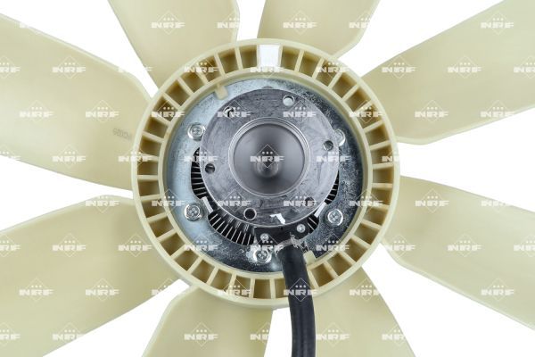 01916f1b6e947175a6bf09f4e9018116 – Foto