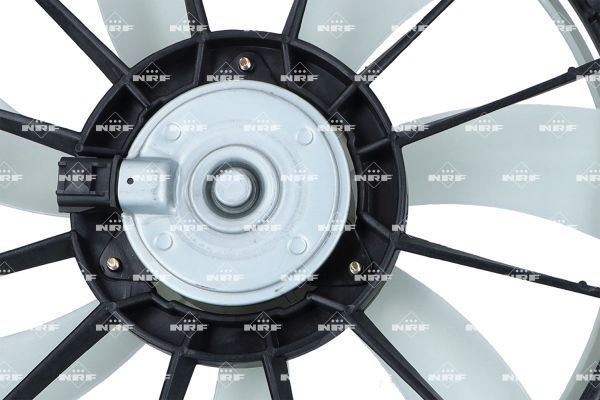 0190bc31df7272a8bf0557c1dc2bdbfa – Foto