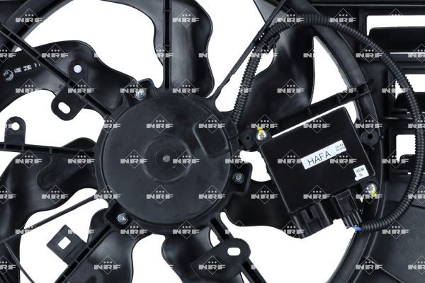 0190bc33398573769c82ec0abcf3465e – Foto