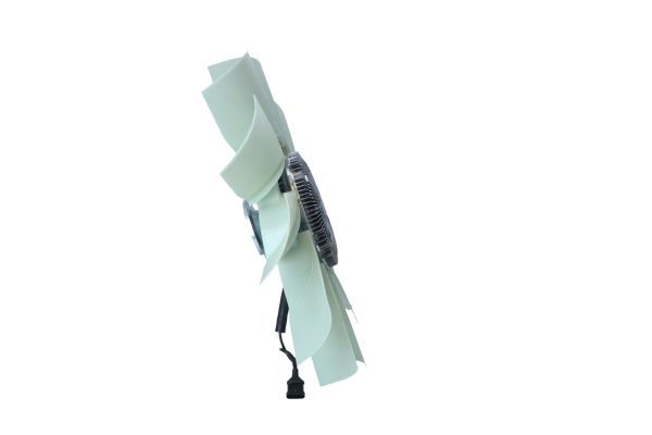 49006 – Foto 49006 – Foto