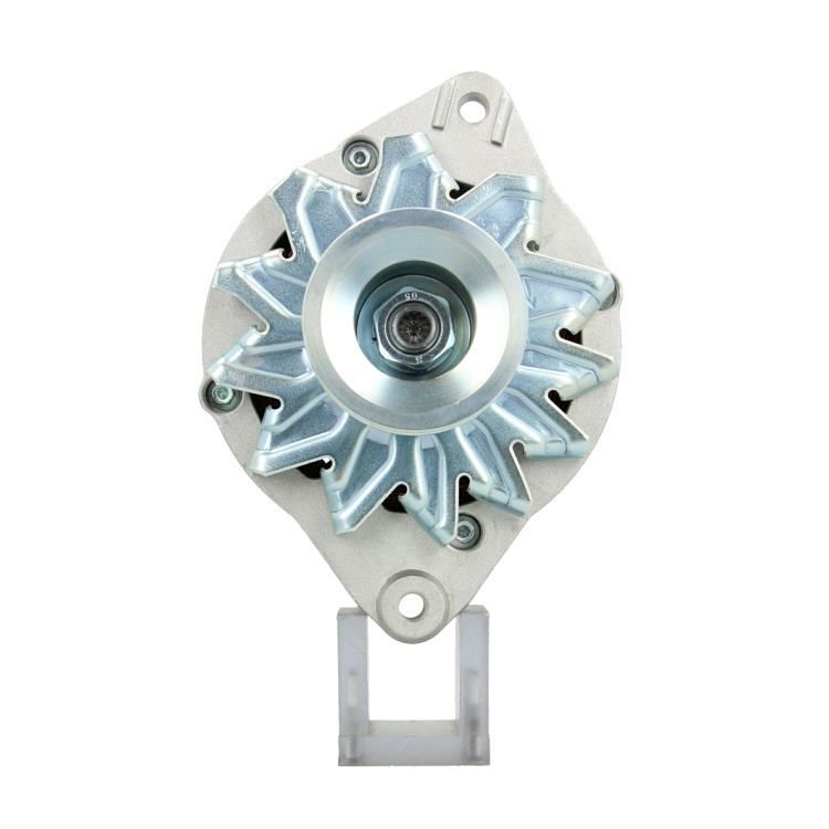 305.016.065.311 – Foto