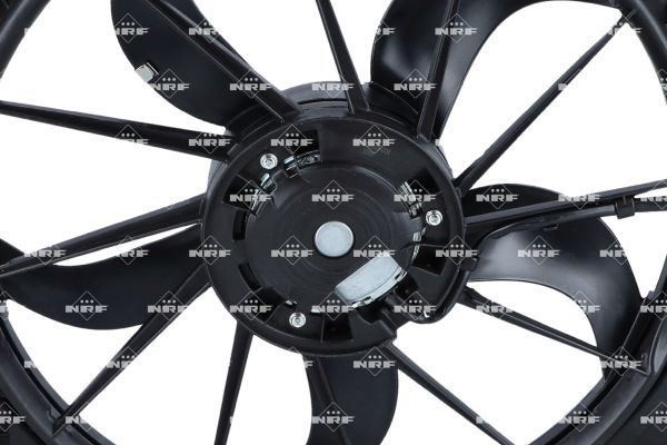 0190bc0a8fc8707494ba50b58dff9bb0 – Foto