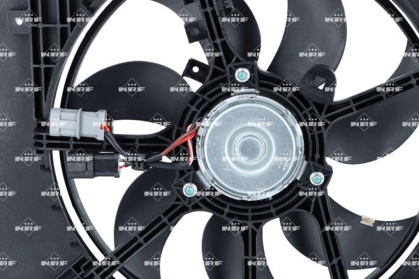 0190bd006c547323aad66dd2c2e138d7 – Foto