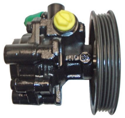 Austausch Hydraulikpumpe, 0001211490-02 | 4874243, 4764526, 4695653