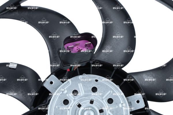 0190bc293598734dbfaf56809c9a390f – Foto