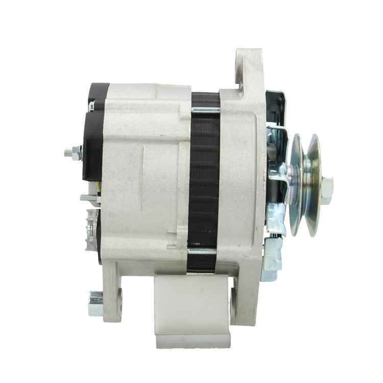 505.003.065.311 – Foto