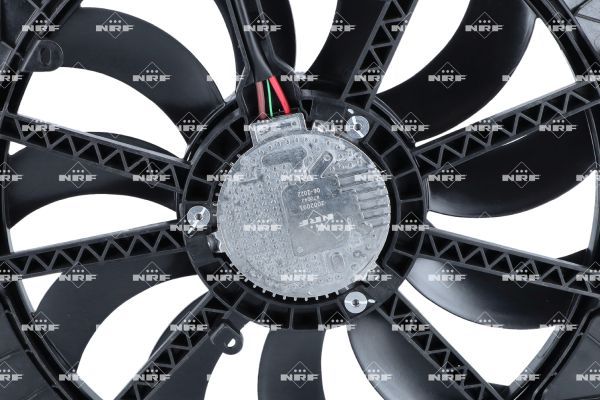 0190bbf11aa7724ea74a00d07a4564ef – Foto