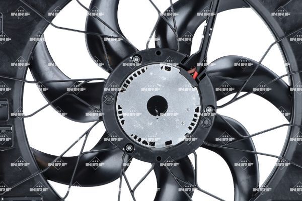 0190bc08c2bf7115a4f4abbad657f5d0 – Foto