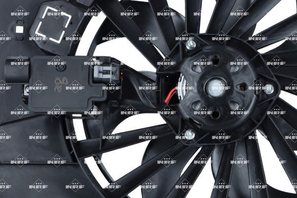 0190bd04cdd47138b6ac5ea815e53176 – Foto