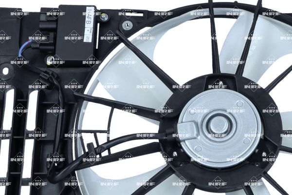 0190bc22089072f2b5c22323bfc08ee4 – Foto