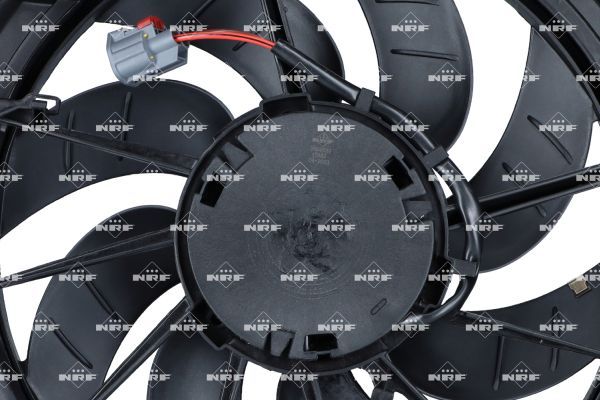 0190bcff000d71d2a215ae5588937971 – Foto