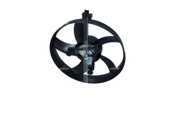 0190bcca56b670c8bfebaba101ae3300 – Foto