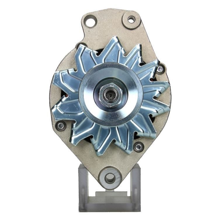 305.023.065.311 – Foto