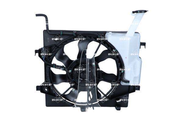 0190bc3a6f5771aea2b4b366d777077a – Foto