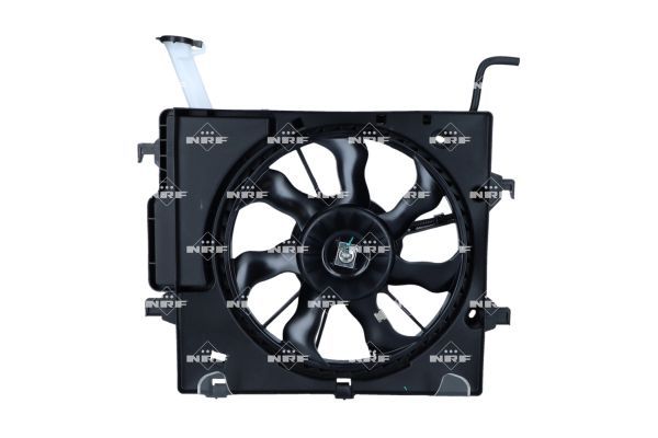 0190bc3a6f5771aea2b4b366d777077a – Foto